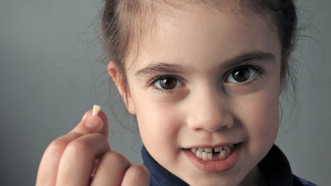 The story of tooth eruption - from milk teeth to wisdom